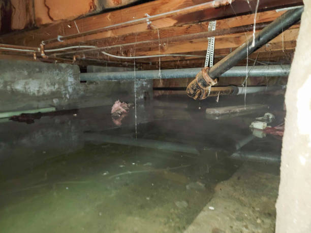 Best Water damage cleanup near me  in Oxford, NC