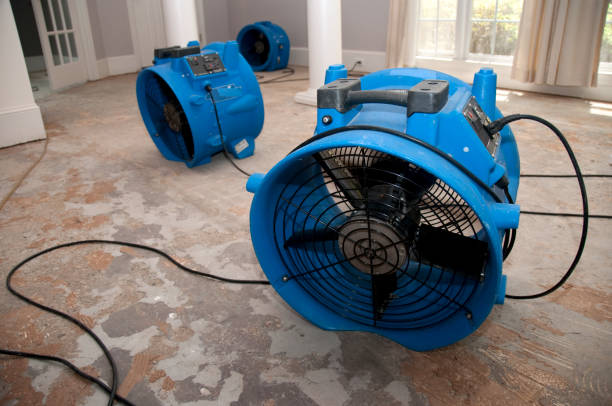 Best Basement water damage restoration  in Oxford, NC